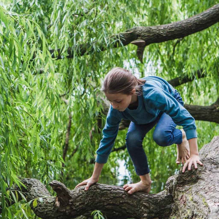 Terry Sweater Kids - Curry