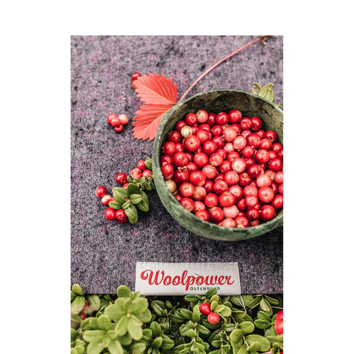 Sit Pad - Recycled Grey - Vindpinad