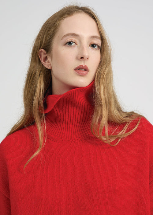 Fine Wool Knit Roll-Neck