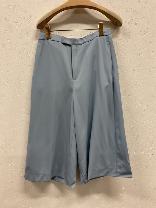 Lightblue Long Shorts